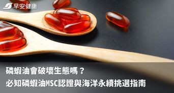 磷蝦油會破壞生態嗎？必知磷蝦油MSC認證與海洋永續挑選指南