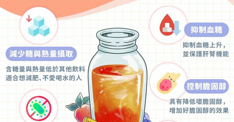康普茶是什麼、有哪些功效？什麼時候喝最好？從副作用到自製做法一次看！