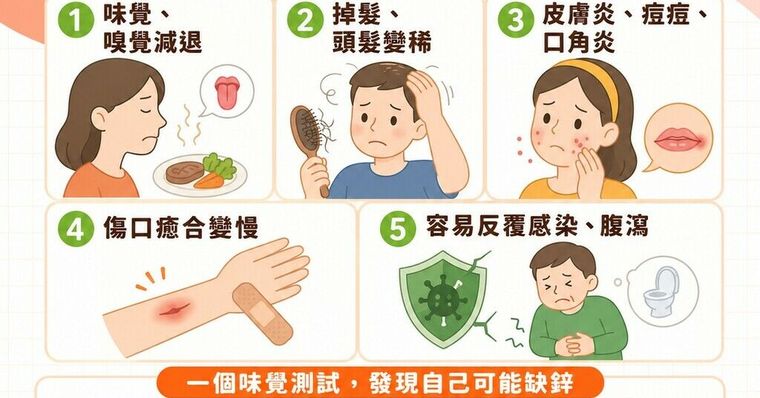 鋅什麼時候吃？缺鋅症狀與檢測方法「含鋅食物」清單大公開