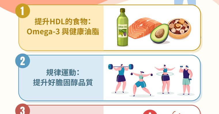 【好膽固醇全指南】數值多少才正常？增加好膽固醇的3種方法