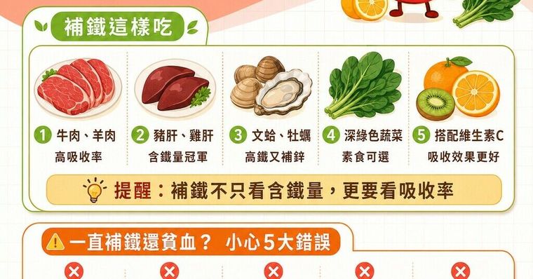 貧血吃什麼最快補血？高效補鐵食物清單與飲食禁忌