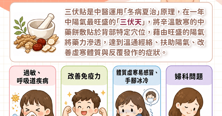 三伏貼功效是什麼？2026三伏貼時間與價格全解析