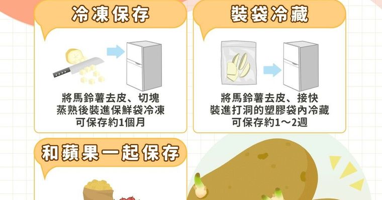 發芽馬鈴薯放寬進口？馬鈴薯發芽中毒症狀、處理與保存方法