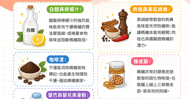 家裡有螞蟻怎麼辦？教你3步驟消滅螞蟻SOP！