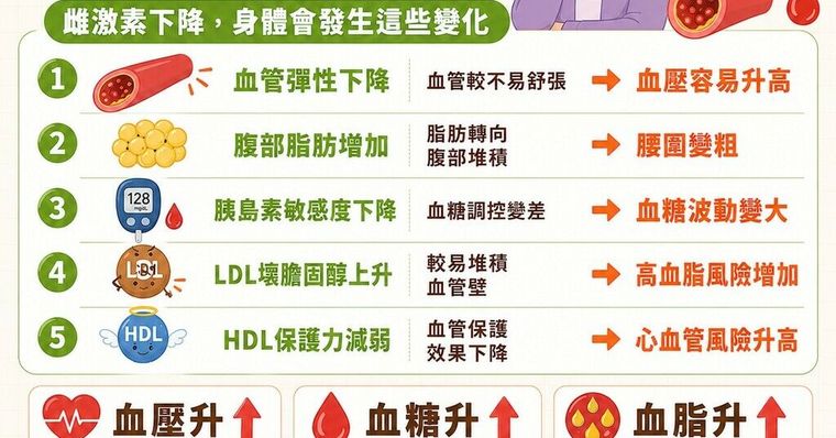 更年期三高風險升高？雌激素下降、內臟脂肪增，4招保護心血管