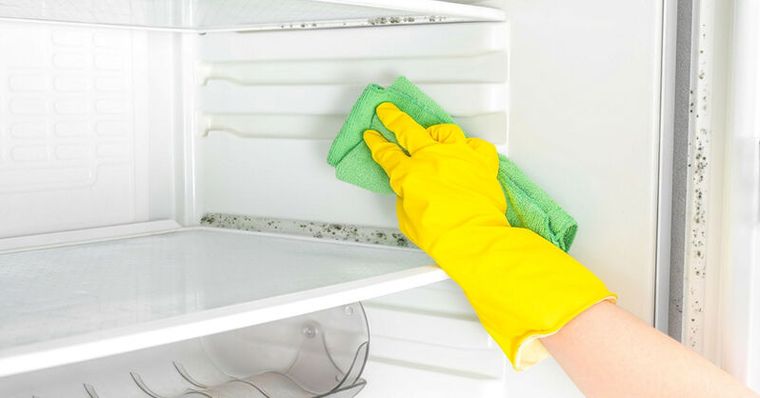 冰箱膠條發霉黑漆漆？不用漂白水「一條牙膏」讓它像新的一樣