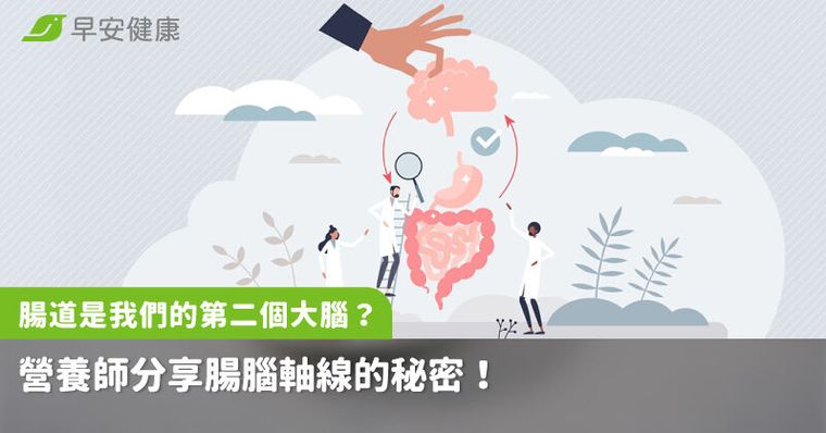 腸道是我們的第二個大腦？營養師分享腸腦軸線的秘密！
