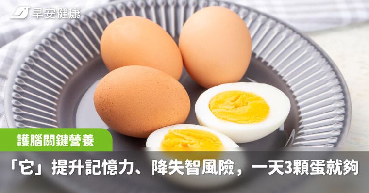 護腦關鍵營養是「它」！有效提升記憶力、降失智風險，一天3顆蛋就夠