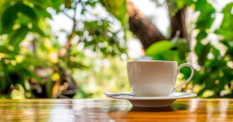 端午節其實是毒日？中醫揭4大禁忌，一杯「清暑去濕茶」排毒去濕熱
