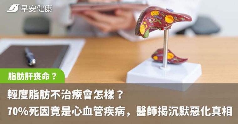 輕度脂肪肝不治療會怎樣？70%死因竟是心血管疾病，醫師揭沉默惡化真相
