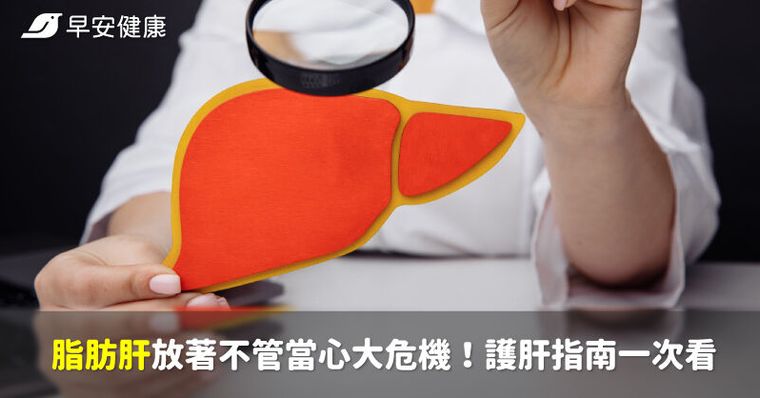 脂肪肝放著不管當心大危機！護肝指南一次看