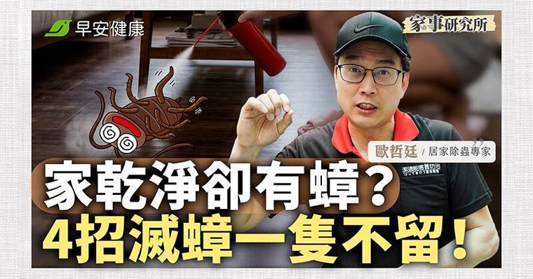 家裡再乾淨也有小強？除蟲專家曝「正確滅蟑法」一隻不留！