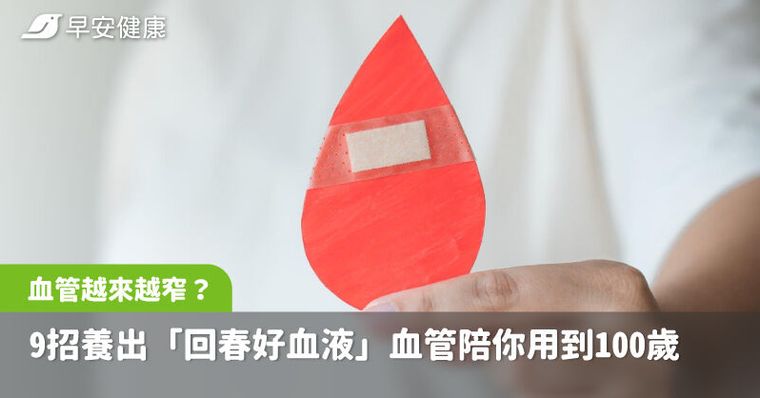 血管堆滿壞膽固醇！醫點9習慣害血管減壽，快靠這招養回清澈好血液
