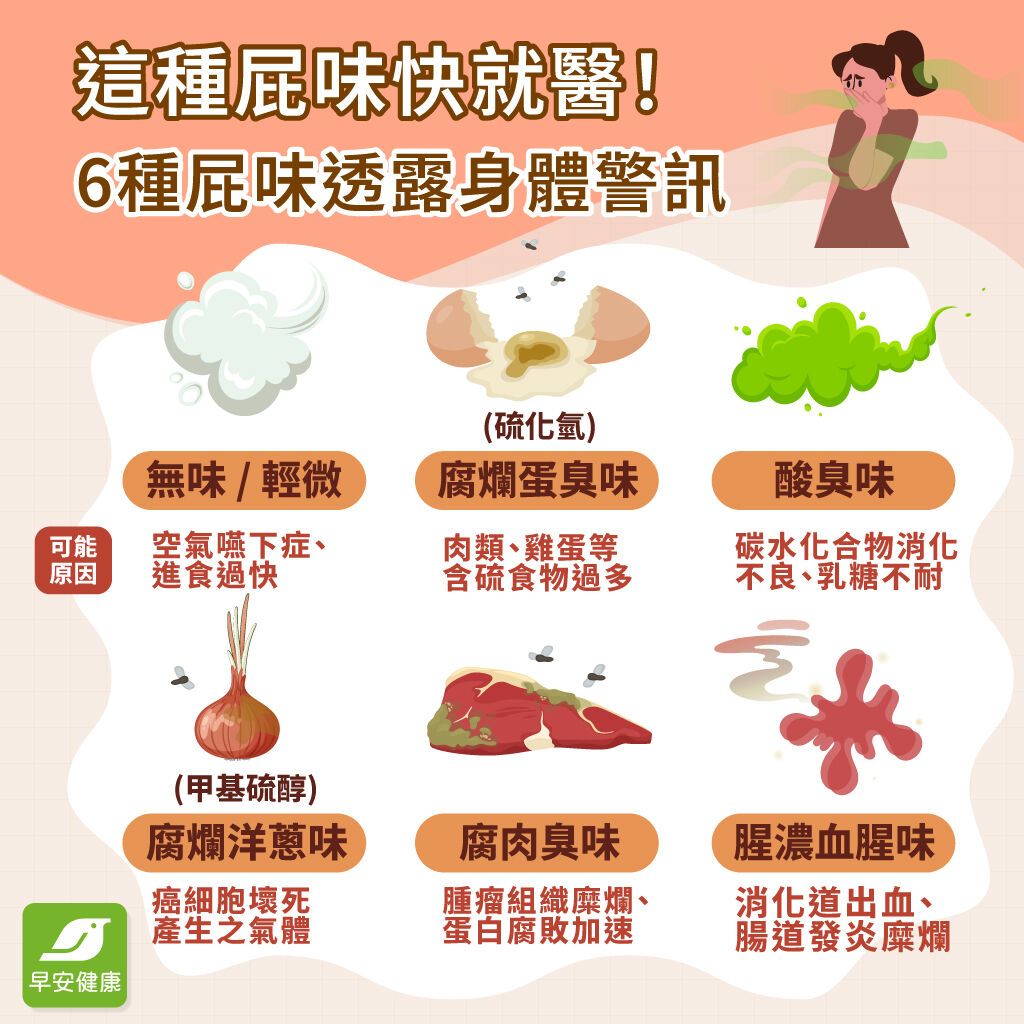 為什麼一直放屁？6種屁味被忽視的身體訊號與改善方法！