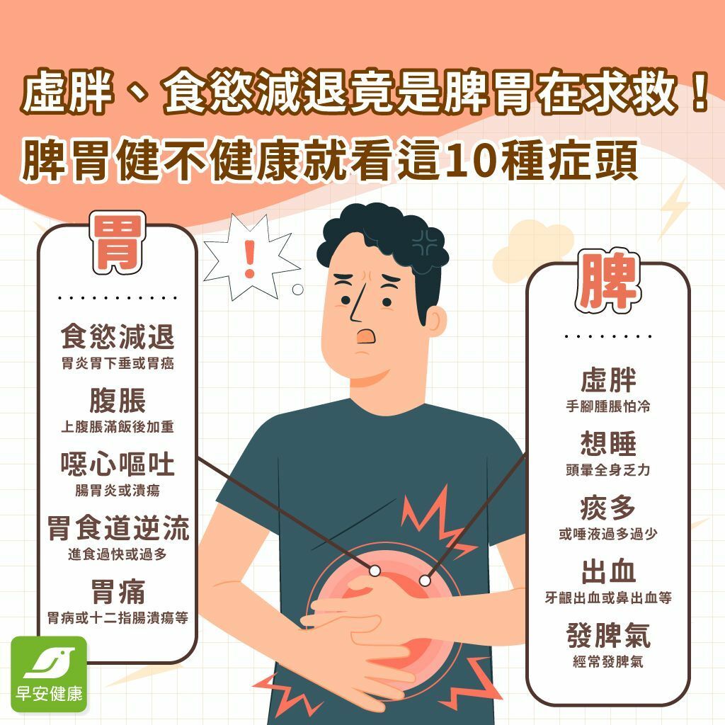 總是莫名想睡、吃少卻虛胖？常見10種身體警訊是脾胃在求救！