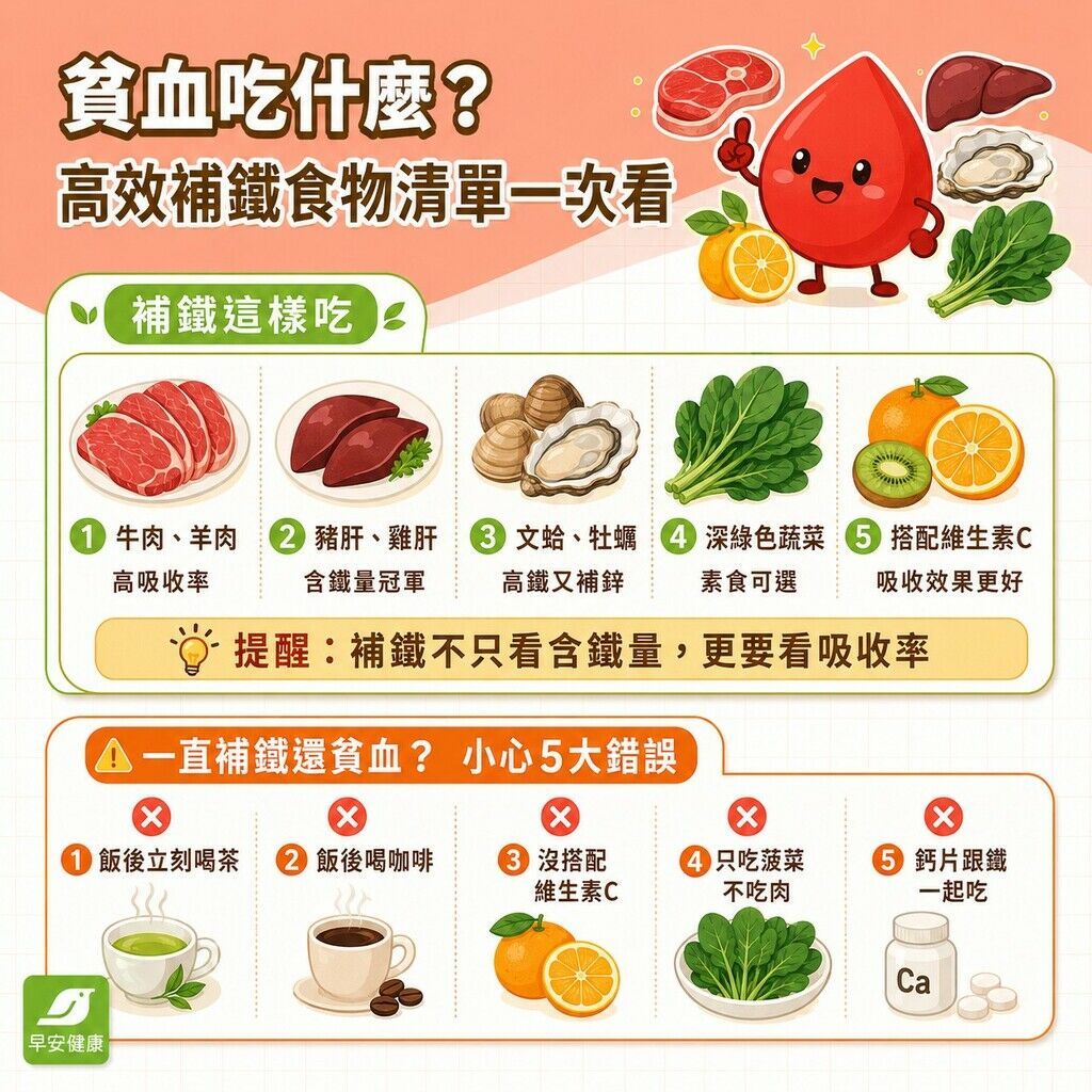貧血吃什麼最快補血？高效補鐵食物清單與飲食禁忌