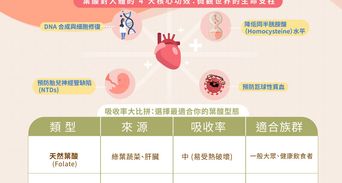 葉酸功效解析：不只備孕！護心血管、預防失智的關鍵指南