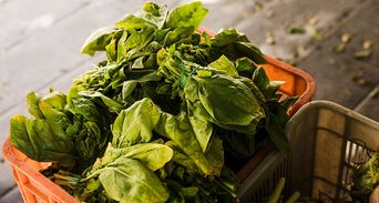 2026最髒蔬果TOP12「這葉菜」蟬聯農藥王！快學3技巧洗菜更乾淨