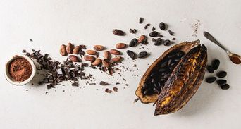 小心糖果巧克力吃進重金屬！醫揭2大「解毒救星」助肝把毒排出來