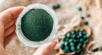 全球名人抗衰老新寵，原來『微藻』這麼神！不但抗老，還能排毒、 抗發炎、提升免疫力