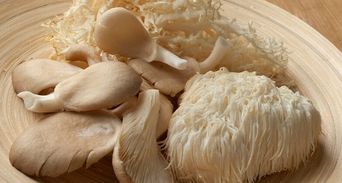 火鍋配角變長壽藥！每天一把「平民神菇」癌症風險降34%