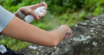 春節回暖濕氣最招蟲！醫曝「2體質＝捕蚊燈」噴這精油蚊蟲不敢近