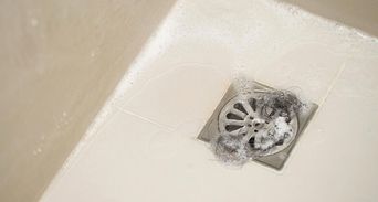 排水孔一團頭髮好焦慮！醫教多這步護髮根，八成的人掉髮都有救