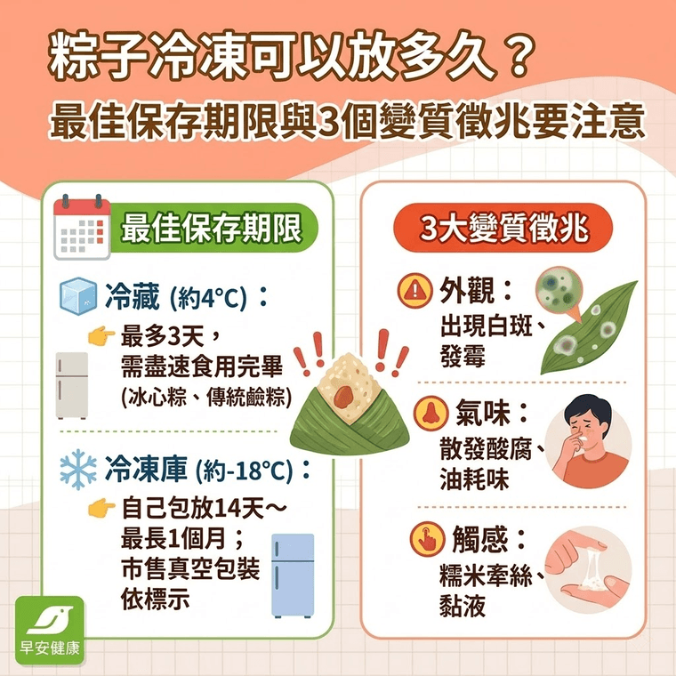 粽子冷凍可以放多久？粽子冷藏冷凍保存期限與正確加熱教學