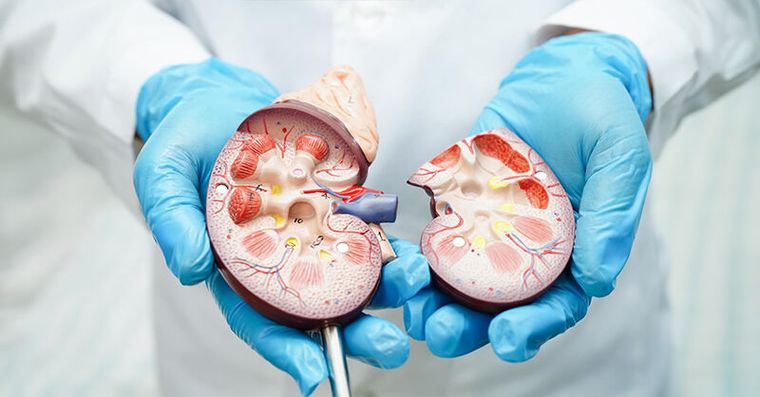 2026最新十大死因公布「3癌死亡率上升」腎病往前排第8