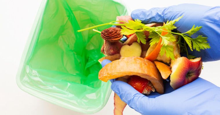 2026廚餘新制不分生熟！這3類千萬別入桶丟錯最高罰6千