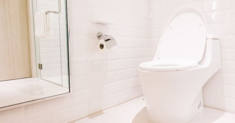 廁所看一眼就知道有沒有錢！4步驟打造「招財廁所」再也不漏財