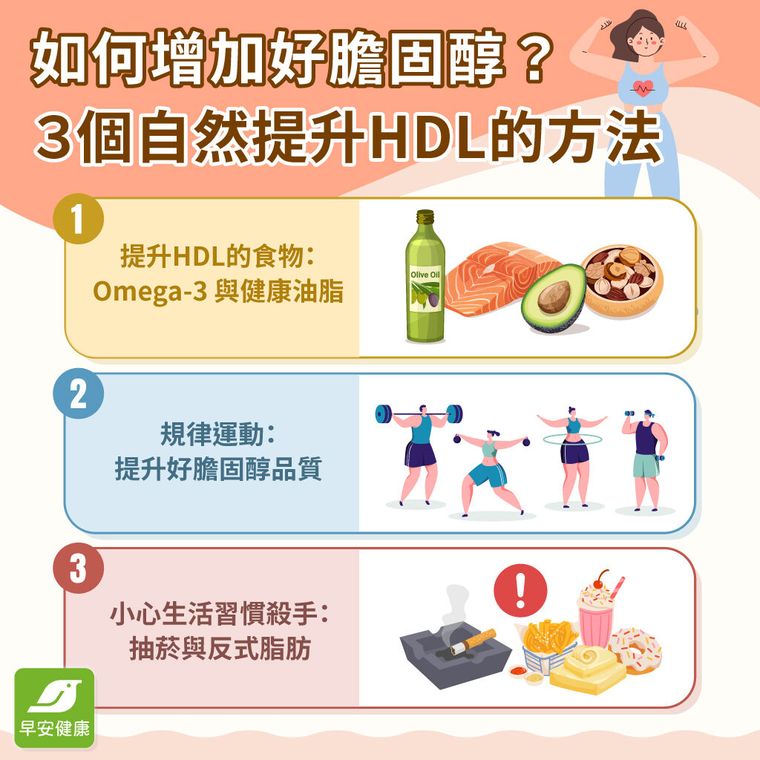 【好膽固醇全指南】數值多少才正常？增加好膽固醇的3種方法