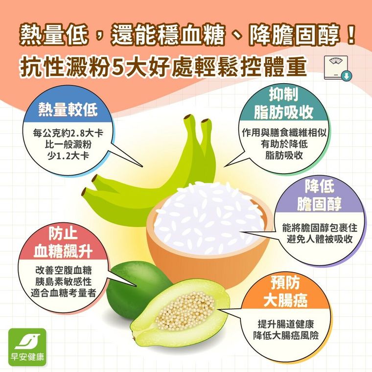 抗性澱粉是什麼？抗性澱粉食物有哪些？好處與熱量解析