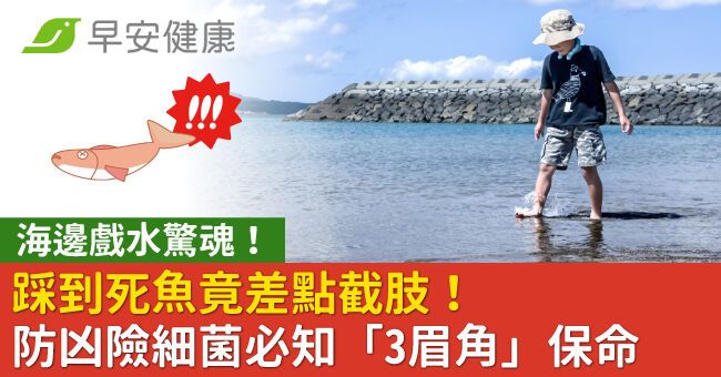 海邊戲水驚魂！踩到死魚竟差點截肢！防凶險細菌必知「3眉角」保命