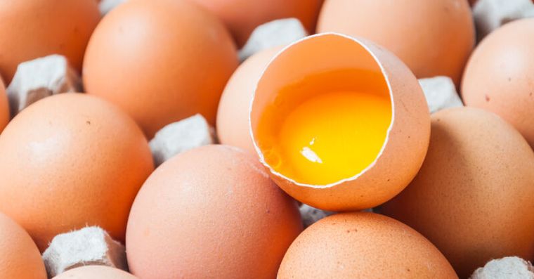 禽流感不敢吃蛋？譚敦慈點名「2種蛋」別碰，廚房這步驟最關鍵