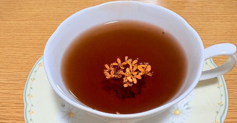 皮膚差＝腸胃差？一杯「腸生不老茶」健脾排濕不再過敏發炎