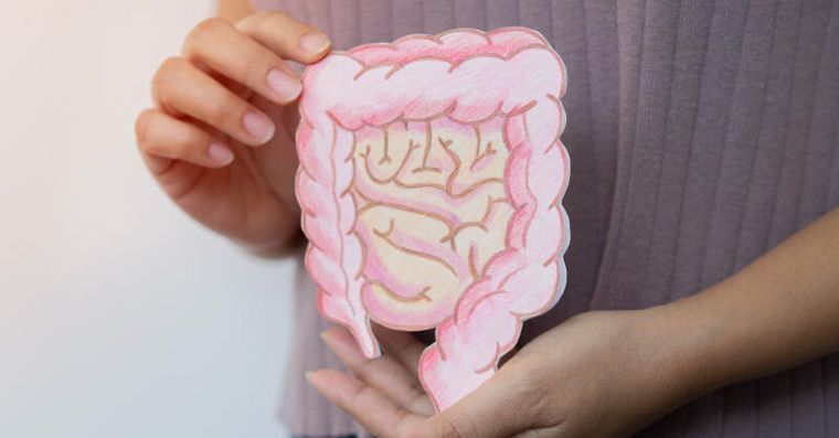 吃益生菌沒效？營養師曝關鍵：這樣養出好菌大軍別等壞菌燒腸道