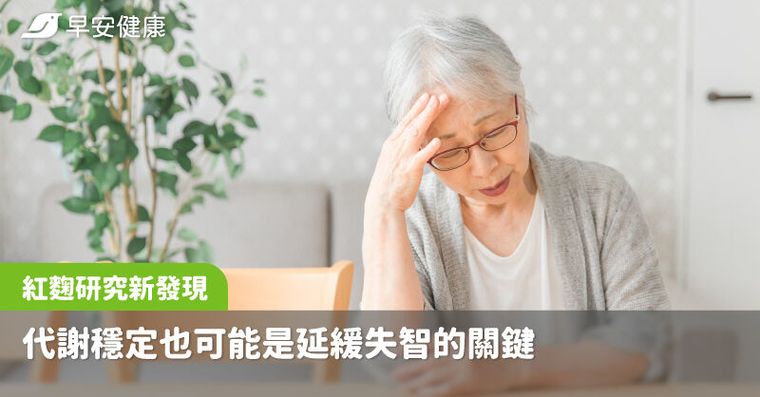 紅麴研究新發現：代謝穩定也可能是延緩失智的關鍵