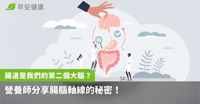 腸道是我們的第二個大腦？營養師分享腸腦軸線的秘密！