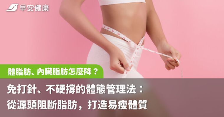 體脂肪、內臟脂肪怎麼降？免打針、不硬撐的體態管理法：從源頭阻斷脂肪，打造易瘦體質