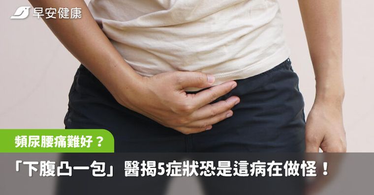 頻尿腰痛好不了？「下腹凸一包」醫揭這5症狀恐是這病在做怪！