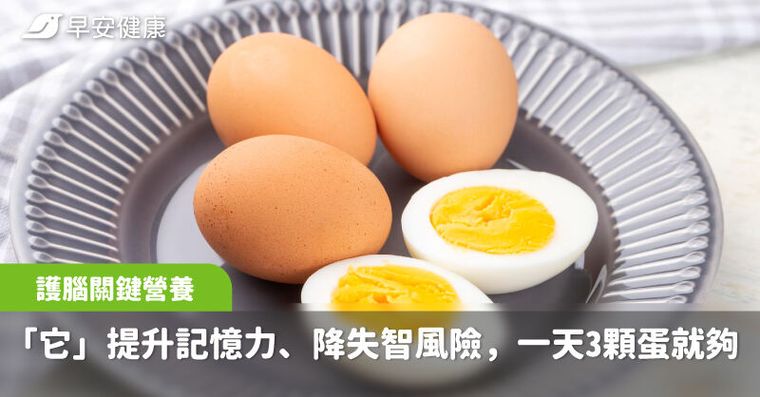 護腦關鍵營養是「它」！有效提升記憶力、降失智風險，一天3顆蛋就夠