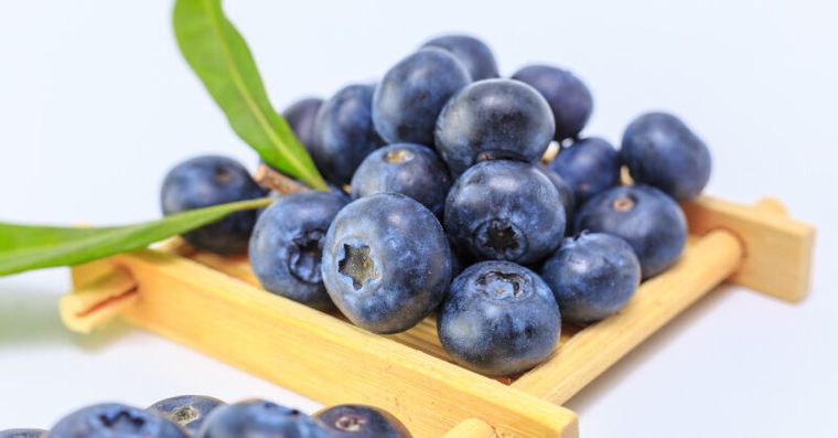 藍莓洗錯越洗越髒！1分鐘去毒不怕吃農藥，這招再延長保鮮