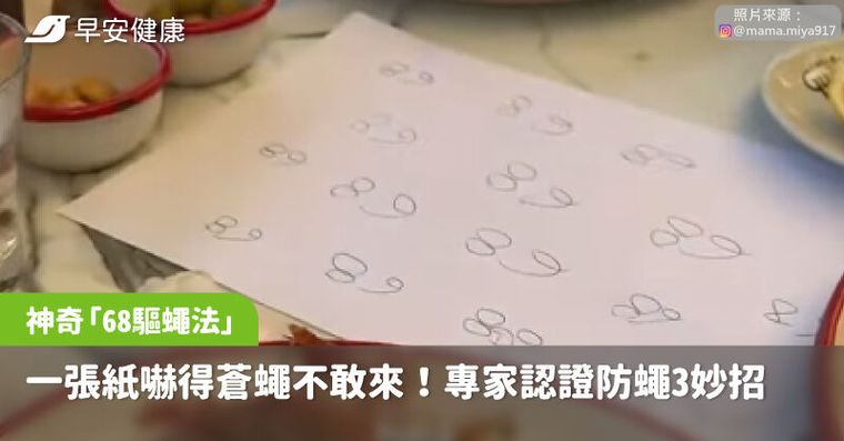 一張紙嚇得蒼蠅不敢來！神奇「68驅蠅法」真相揭秘，專家認證防蠅3妙招