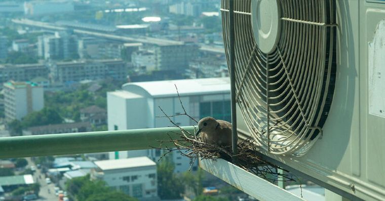 莫名奇癢長紅疹？醫揪凶手不是蚊子，小心這動作引蟲入室