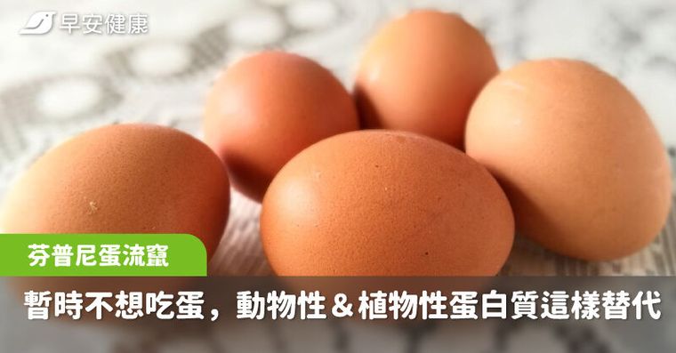 芬普尼蛋流竄！暫時不想吃蛋，10大動物性＆植物性蛋白質這樣替代