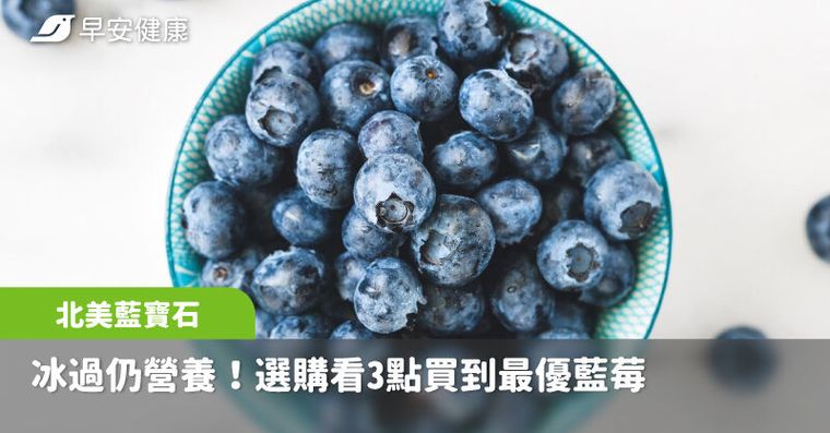 「北美藍寶石」冰過仍營養！選購看3點買到最優藍莓