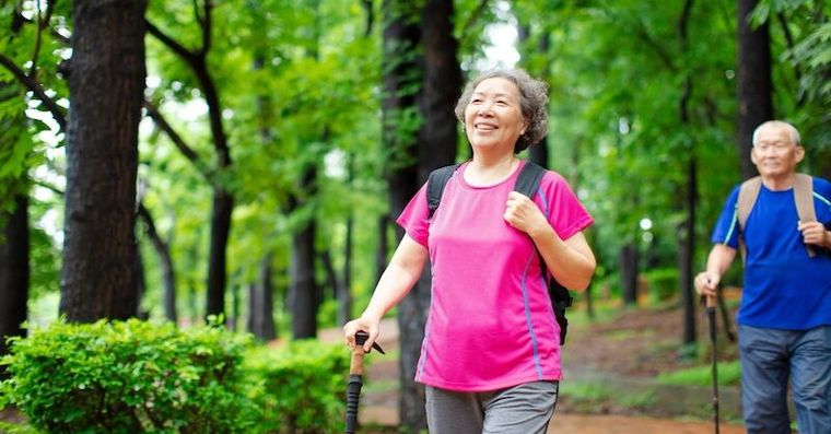隨時說走就走、好自由！專家解密：熟齡族必懂的『分流保養』，讓你行動自如不受限