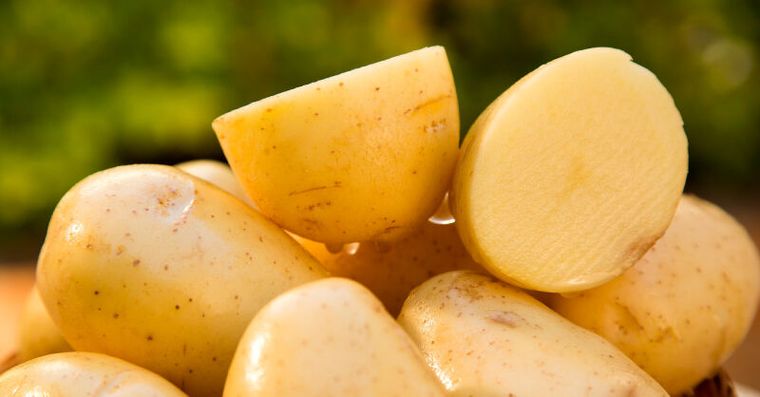 馬鈴薯別直接吃！4步驟變身「控糖神物」抗性澱粉翻倍升級