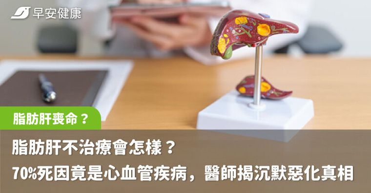 脂肪肝不治療會怎樣？70%死因竟是心血管疾病，醫師揭沉默惡化真相